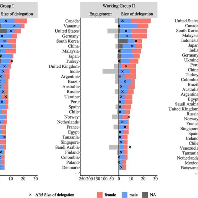 Government Participation in Virtual Negotiations: Evidence from IPCC Approval Sessions