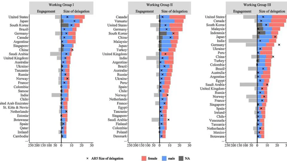 Government Participation in Virtual Negotiations: Evidence from IPCC Approval Sessions